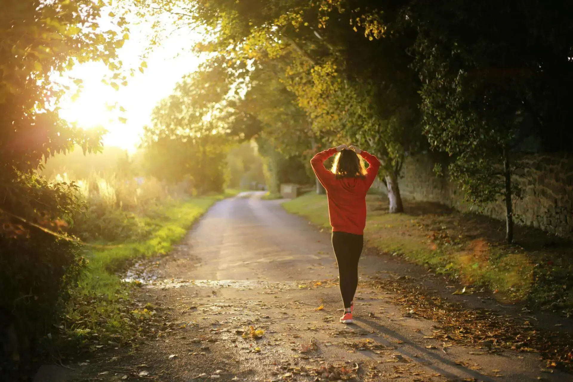 Una persona con un jersey rojo camina por un sendero iluminado por el sol, rodeado de árboles con hojas otoñales. El ambiente es tranquilo y sereno.